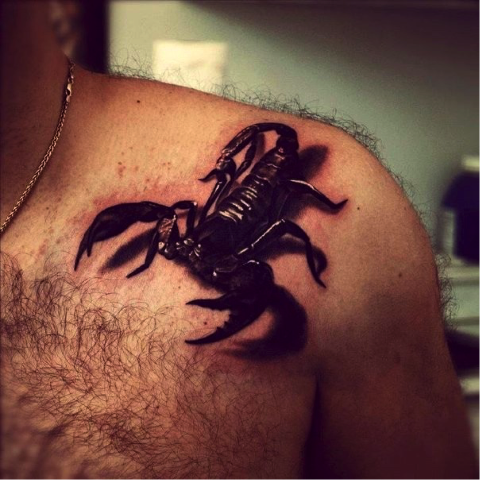 Scorpion Tatuiruocių Stiliai Skorpiono Tatuiruotė Prasmė