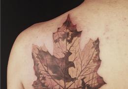 Što znači tetovaža Maple Leaf?