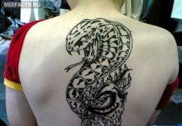 Tetovaža zmije: značenje i fotografija