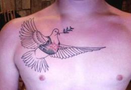 Tetovaža golubice.  Značenje tetovaže golubice.  Skice i fotografije tetovaža golubice