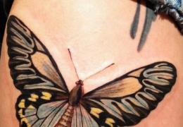 Što znači tetovaža leptira?