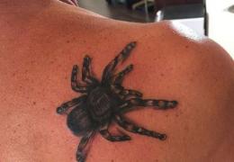Tetovaža pauka: značenje tetovaže, 33 fotografije, skice