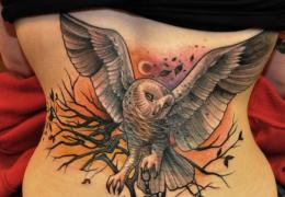 Tetovaža sove.  Značenje tetovaže sove.  Skice i fotografije tetovaža sova